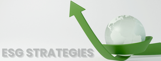 ESG Strategy