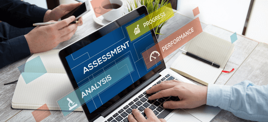 Materiality Assessment